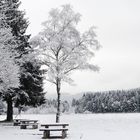 Winter im Schwarzwald