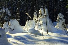 Winter im Schwarzwald 02