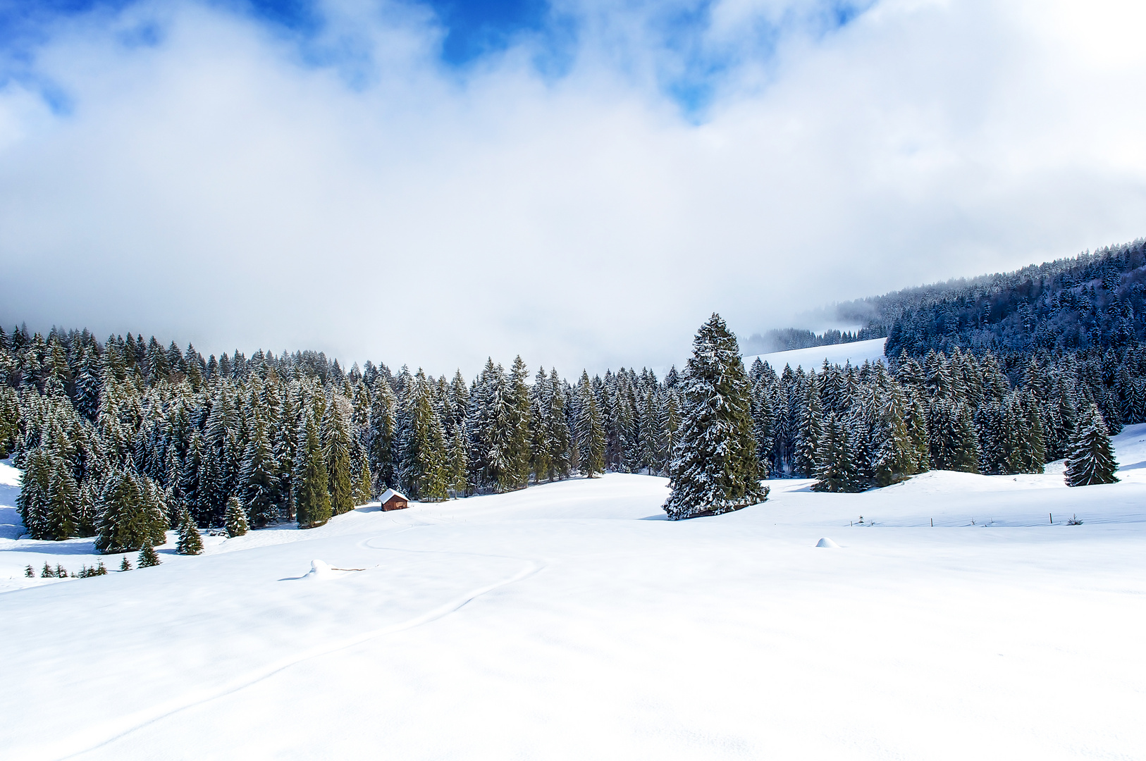 Winter im Schwarzwald