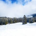 Winter im Schwarzwald