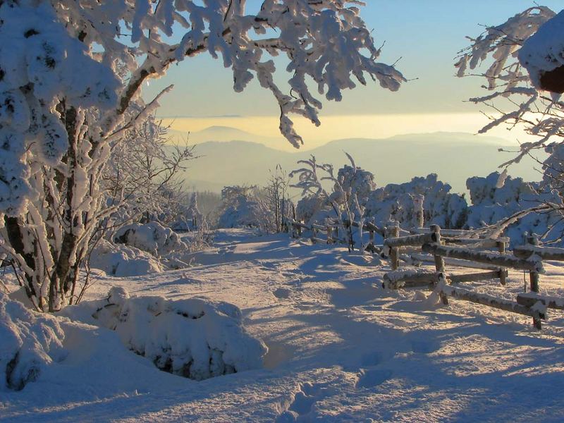 Winter im Schwarzwald