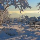 Winter im Schwarzwald