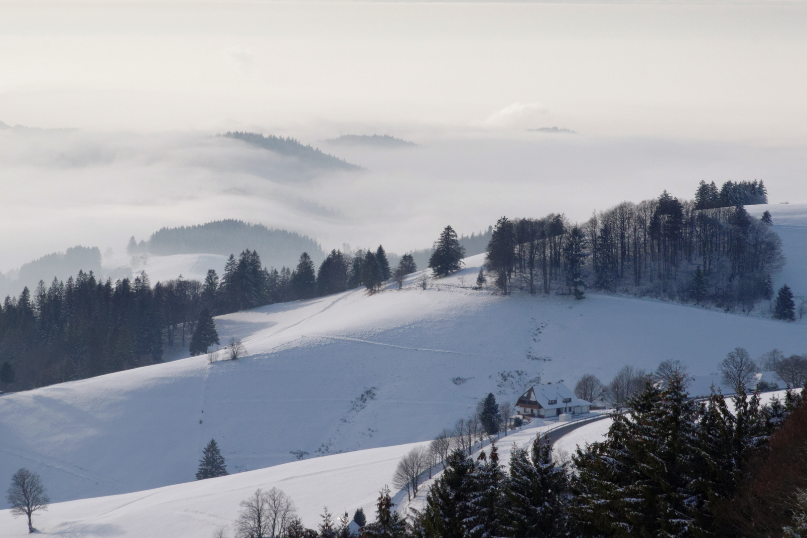 Winter im Schwarzwald 1