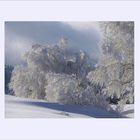 Winter im Schwarzwald 1