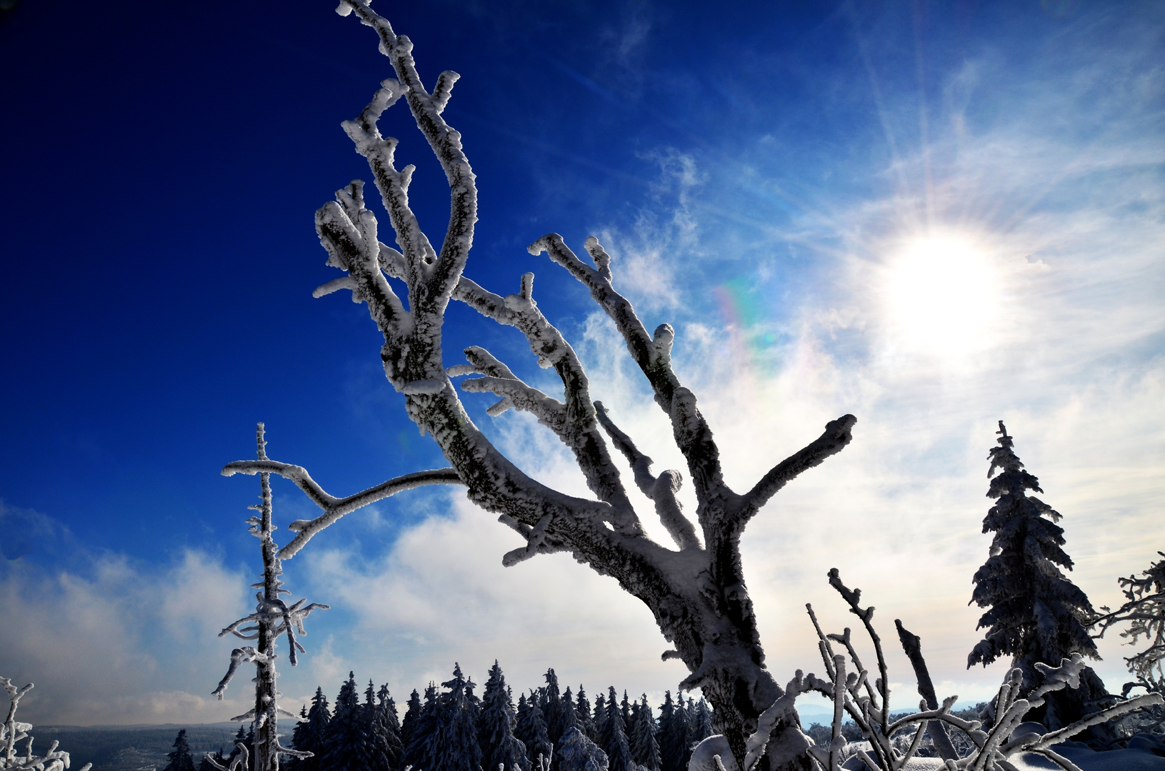 Winter im Schwarzwald 1