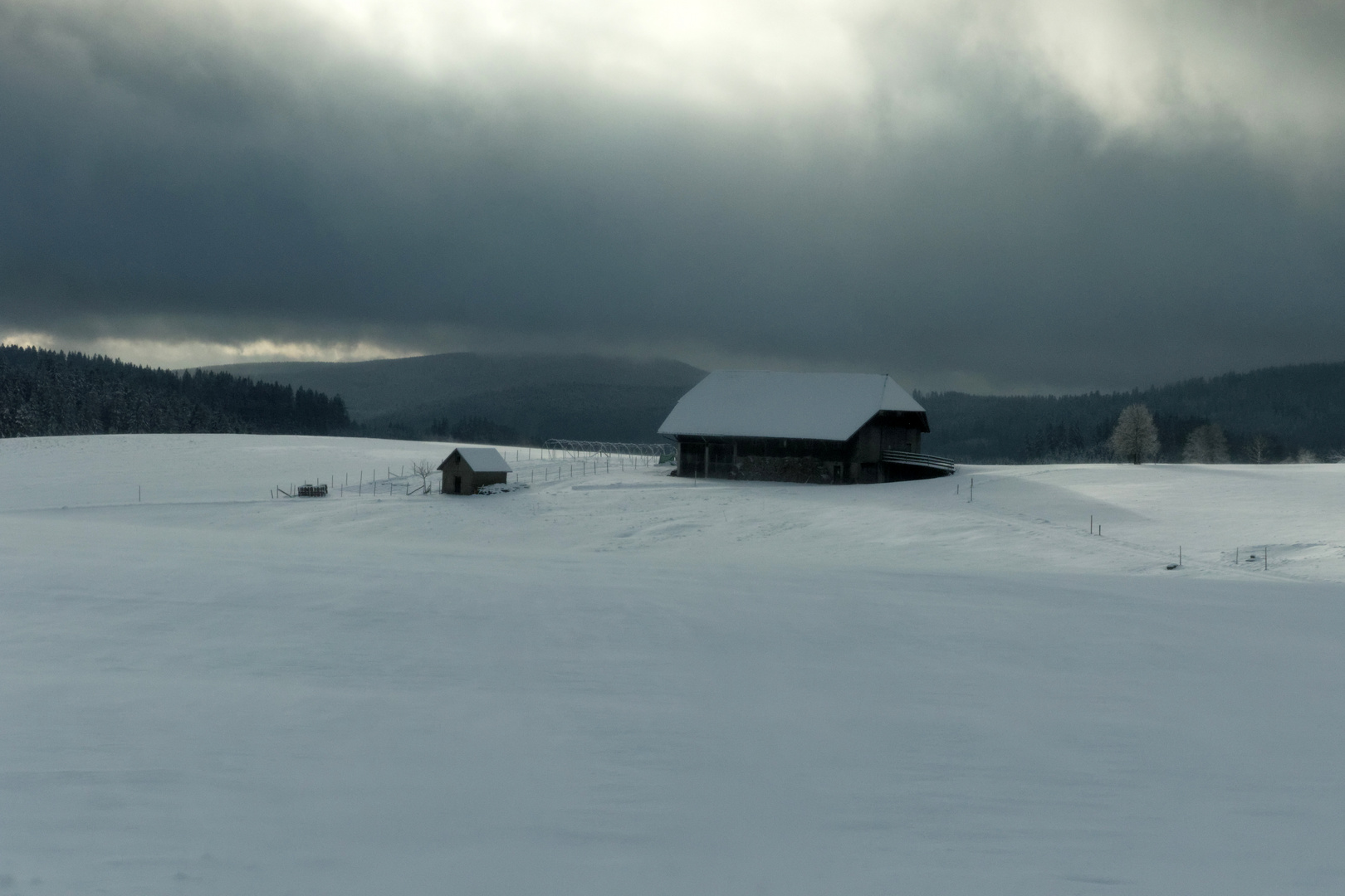 Winter im Schwarzwald 1