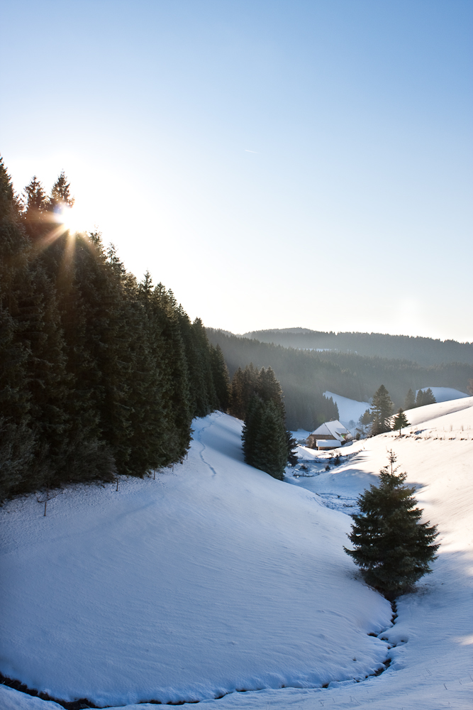 Winter im Schwarzwald