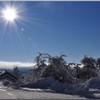 Winter im Schwarzwald