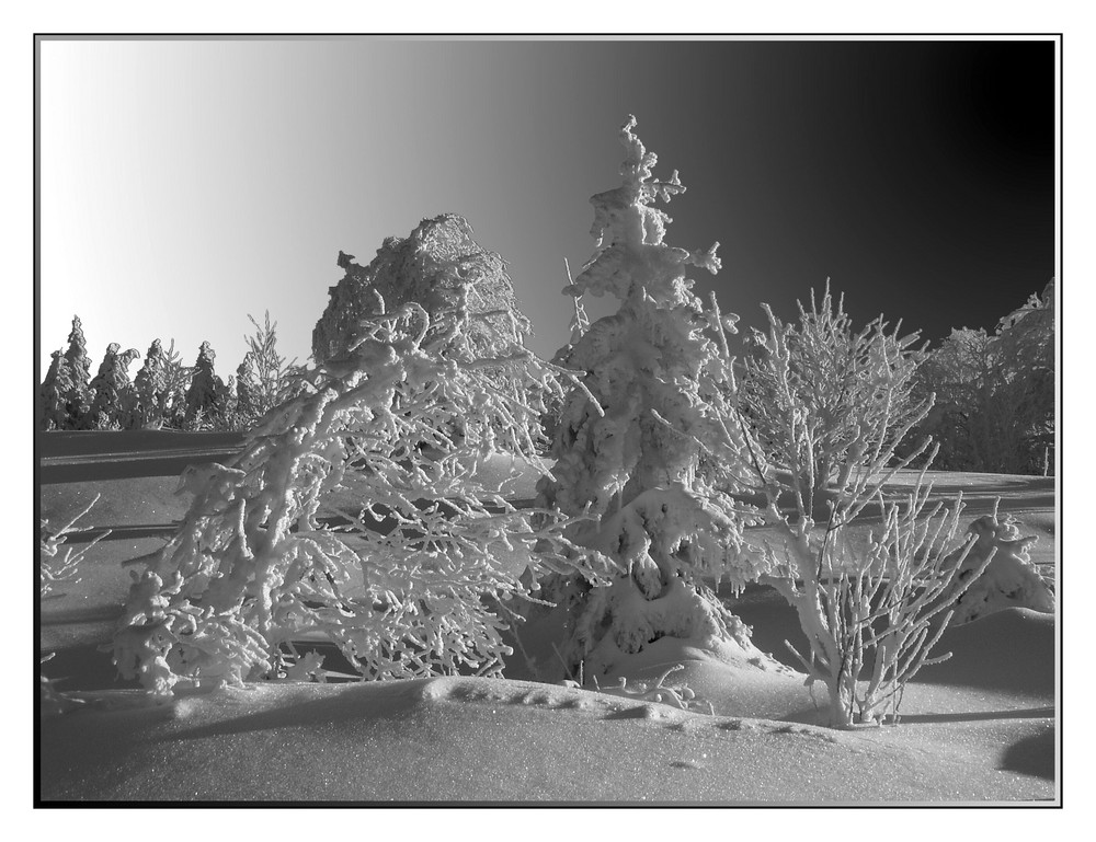 Winter im Schwarzwald