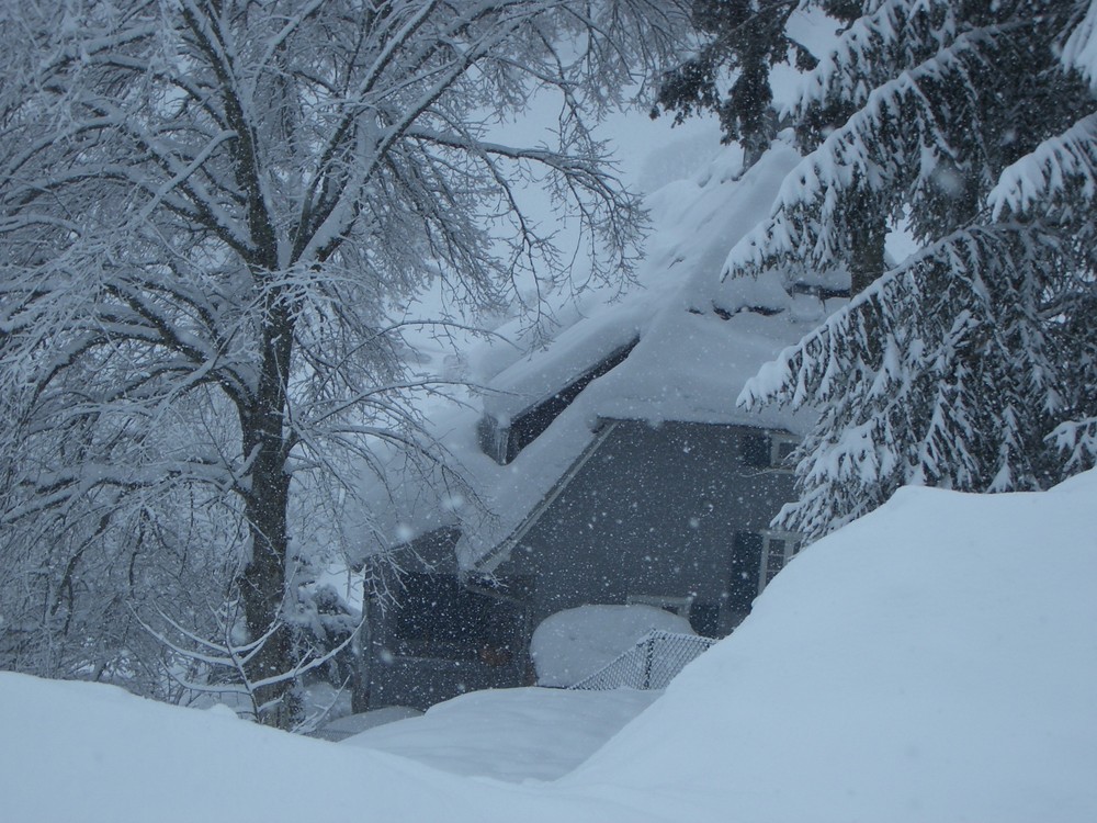 Winter im Schwarzwald