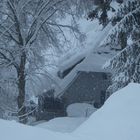 Winter im Schwarzwald