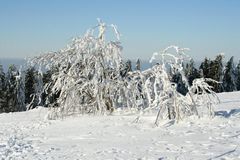 Winter im Schwarzwald 2