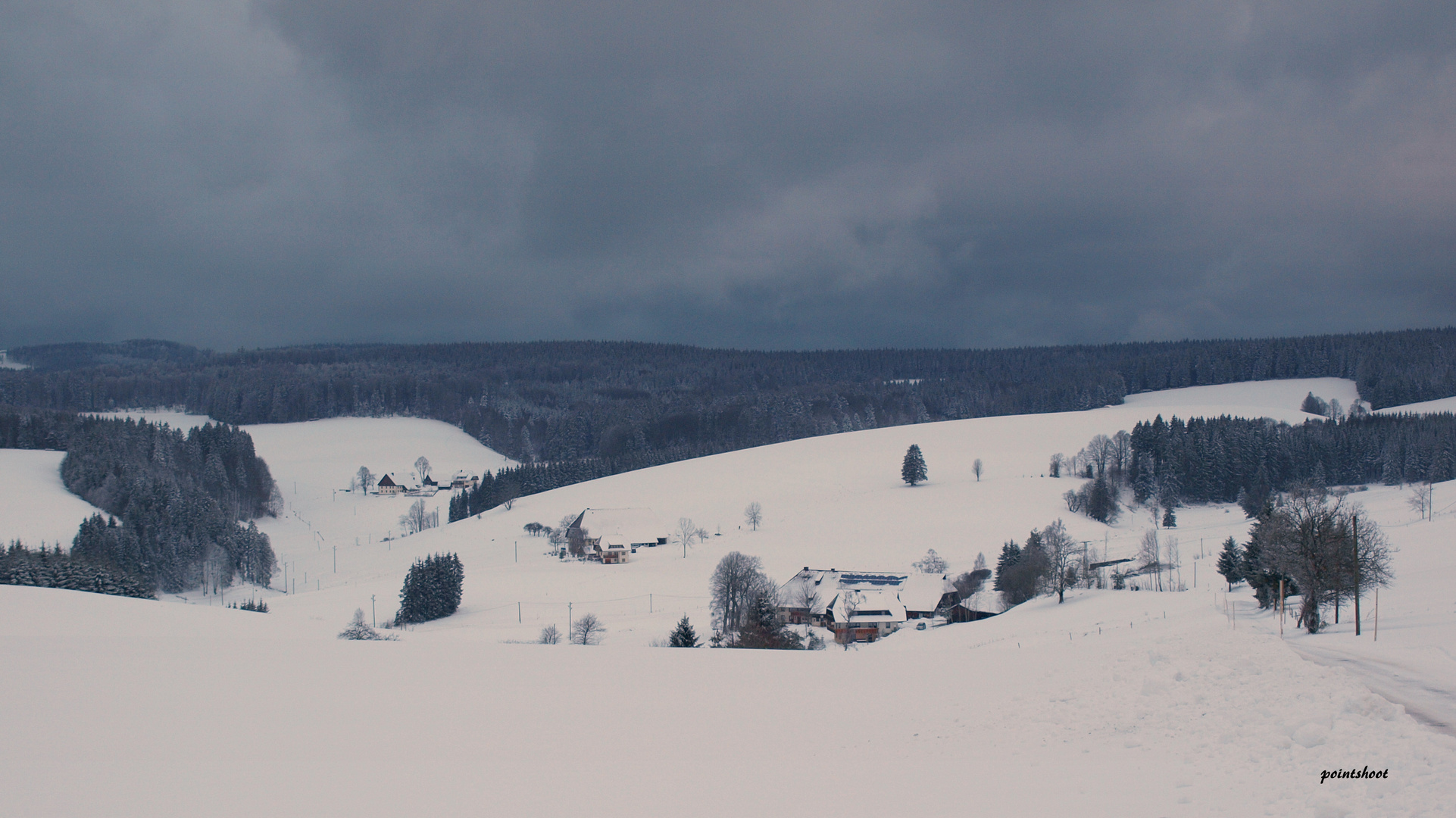 Winter im Schwarzwald (2)