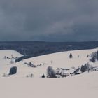 Winter im Schwarzwald (2)