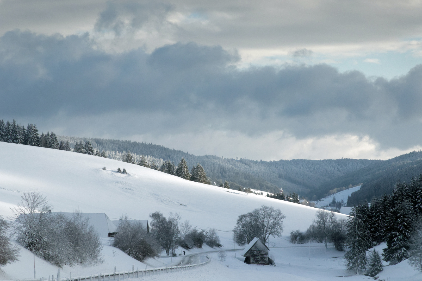Winter im Schwarzwald 2