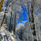 Winter im Schwarzwald 23