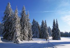 Winter im Schwarzwald