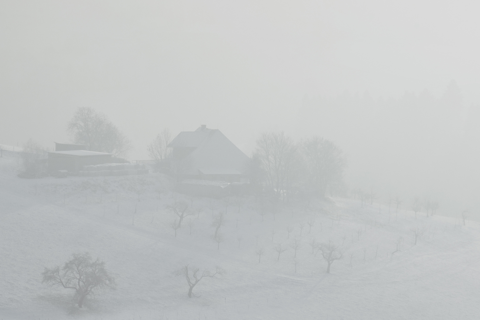 Winter im Schwarzwald 3