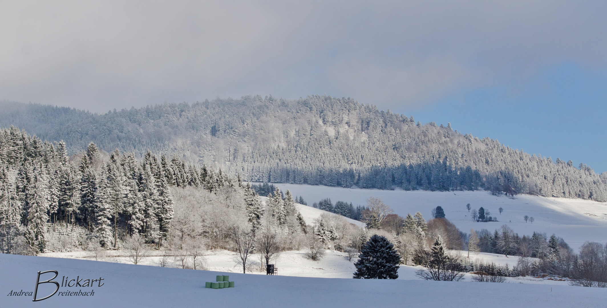 Winter im Schwarzwald