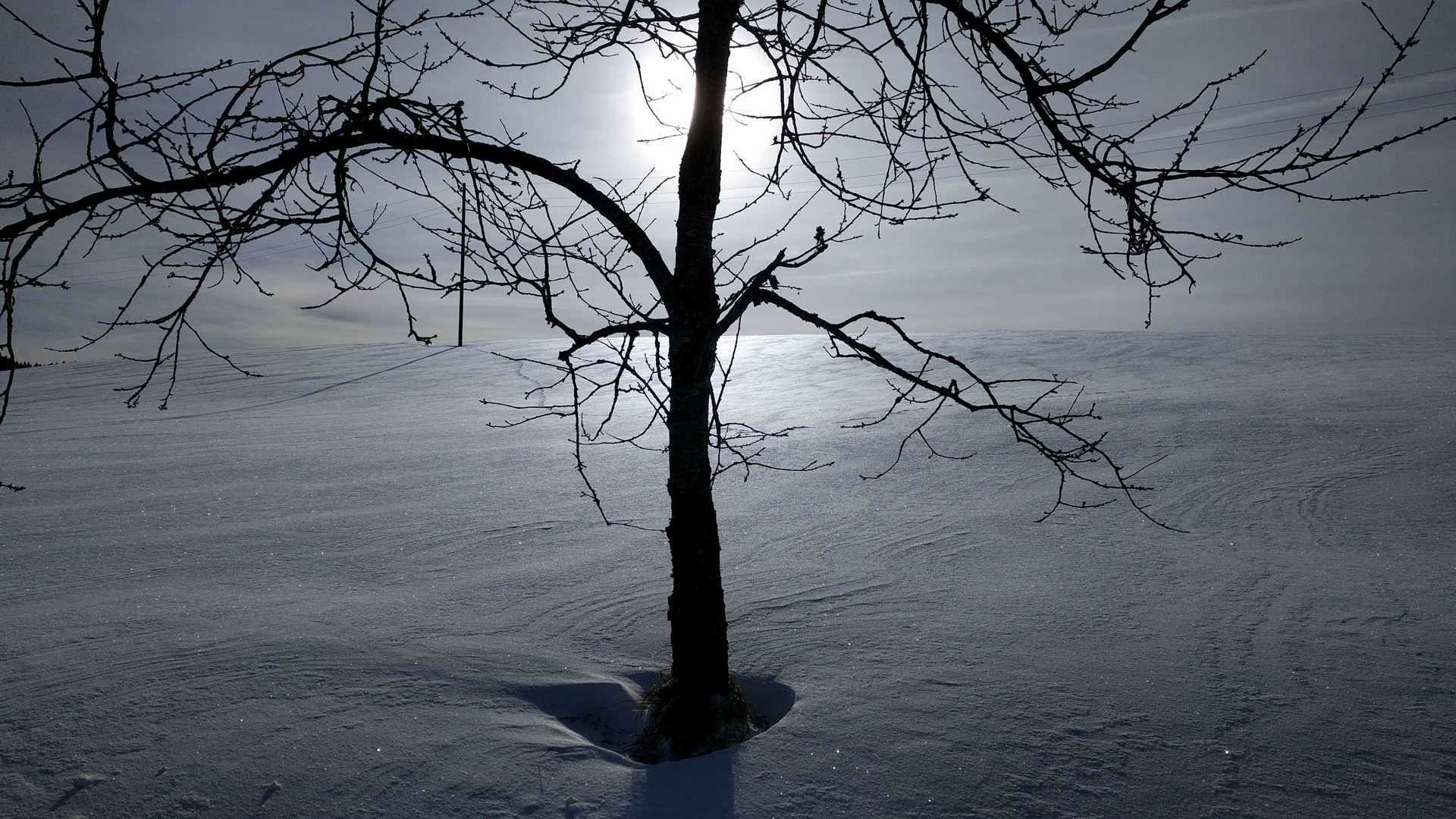 Winter im Schwarzwald