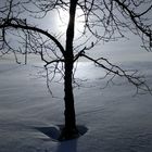 Winter im Schwarzwald