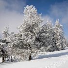 Winter im Schwarzwald