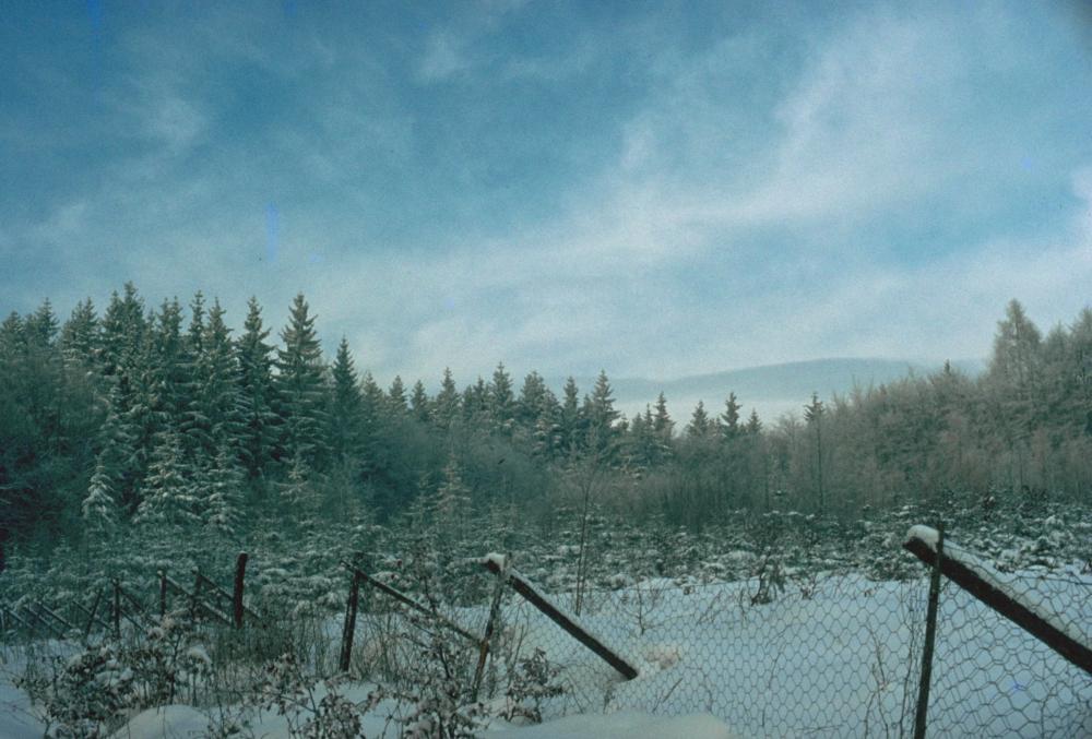 Winter im Schwarzwald