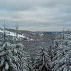 Winter im Schwarzwald