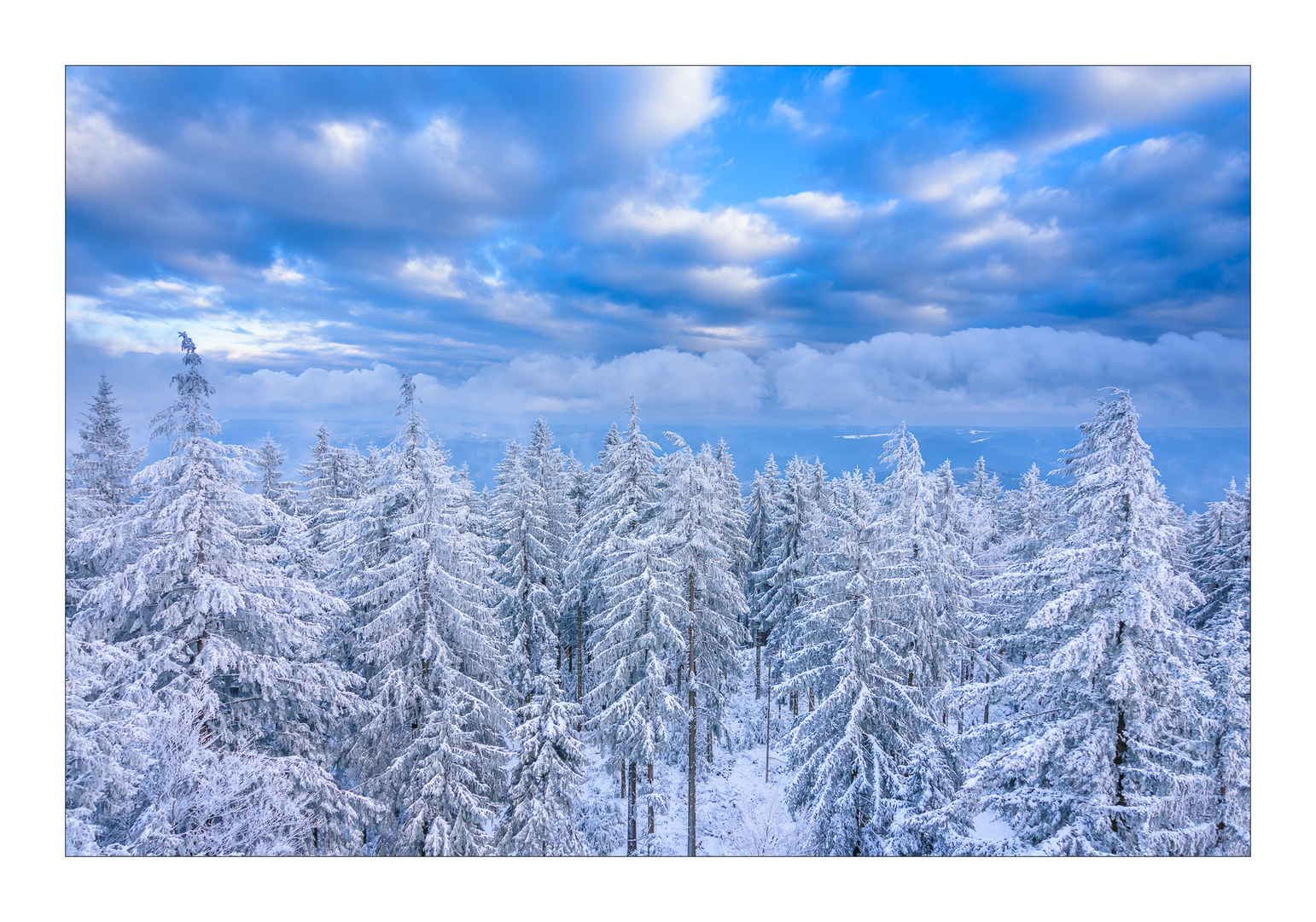 Winter im Schwarzwald