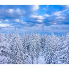 Winter im Schwarzwald