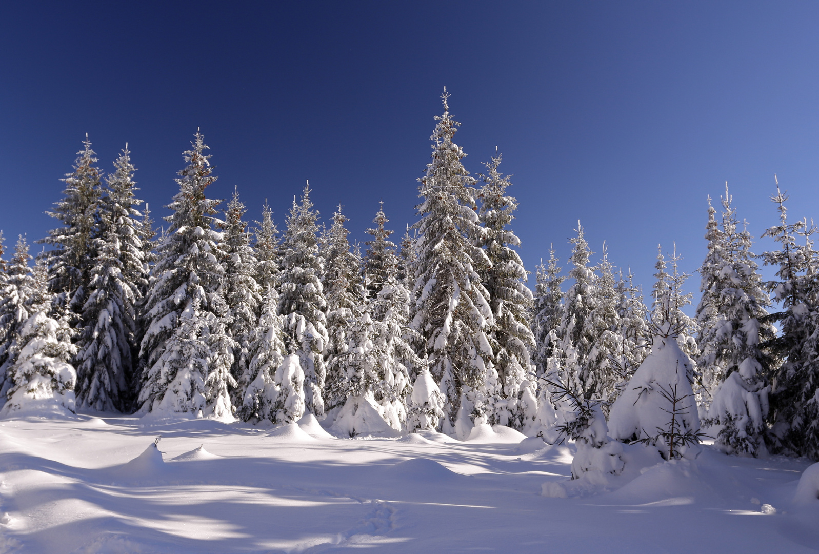 Winter im Schwarzwald