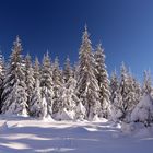 Winter im Schwarzwald