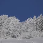 Winter im Schwarzwald 5