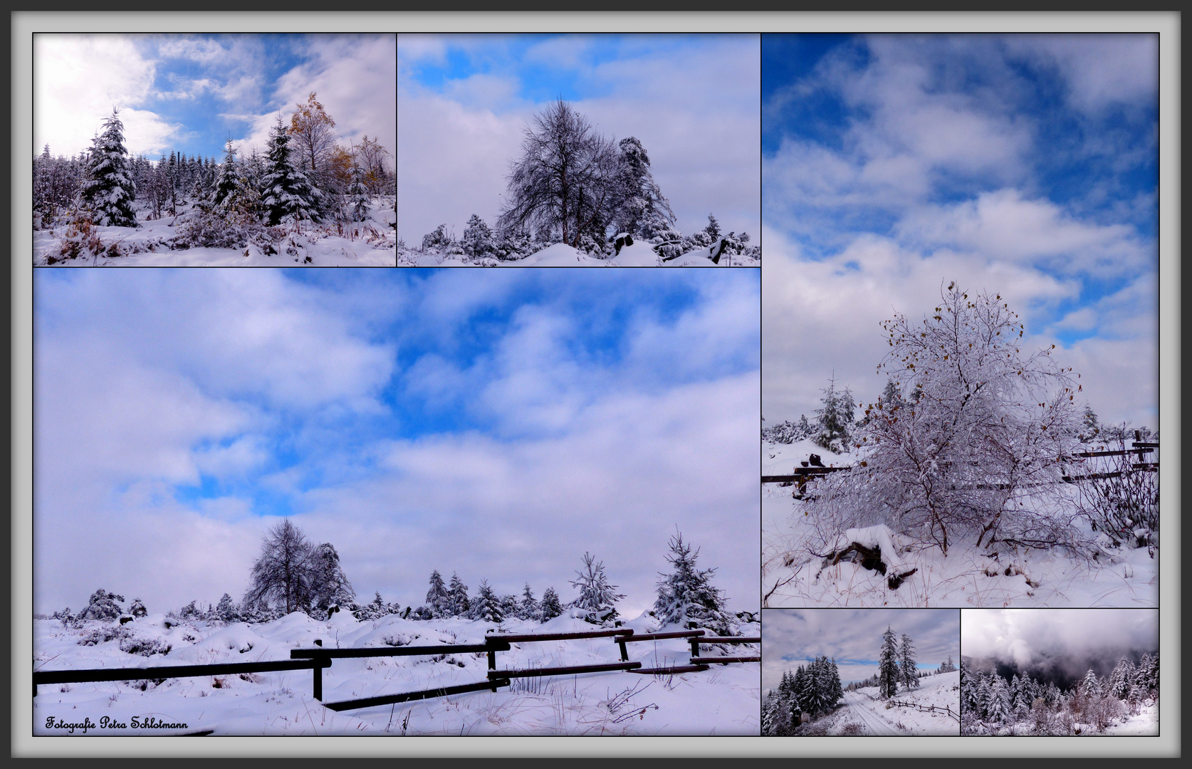 °°°° Winter im Schwarzwald °°°°