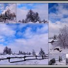 °°°° Winter im Schwarzwald °°°°