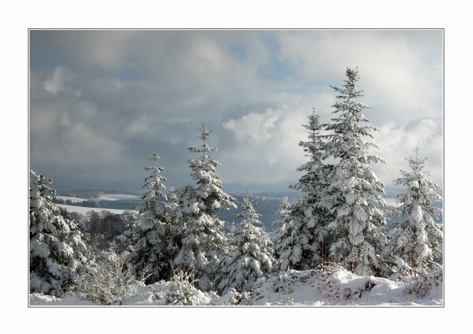 Winter im Schwarzwald