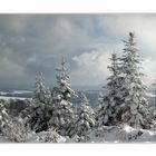 Winter im Schwarzwald