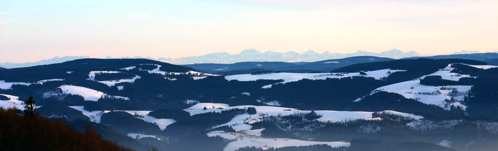 Winter im Schwarzwald