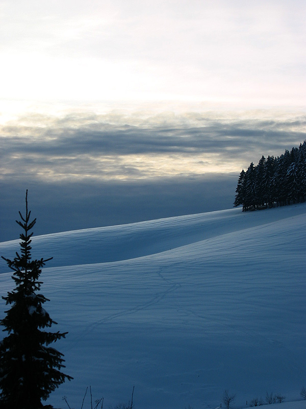 Winter im Schwarzwald