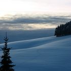 Winter im Schwarzwald