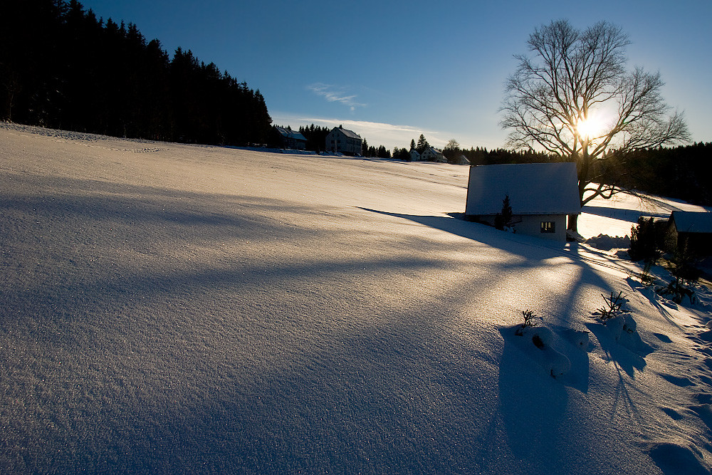 Winter im Schwarzwald