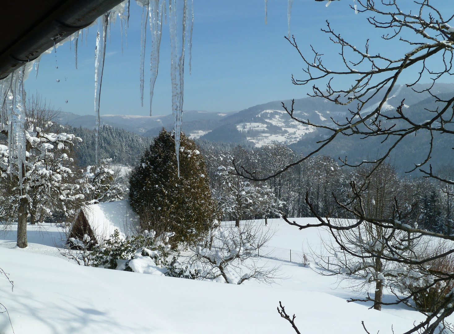 Winter im Schwarzwald