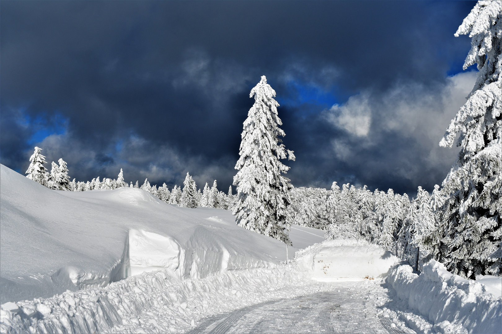 Winter im Schwarzwald