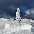 Winter im Schwarzwald