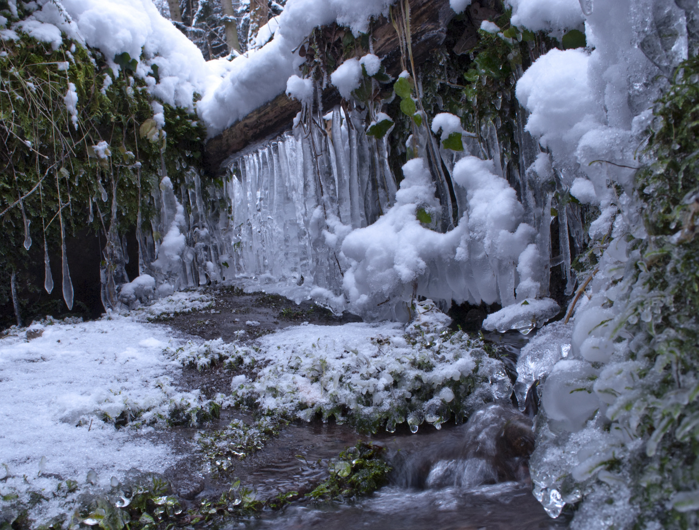 Winter im Schwarzwald