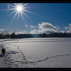 Winter im Schwarzwald