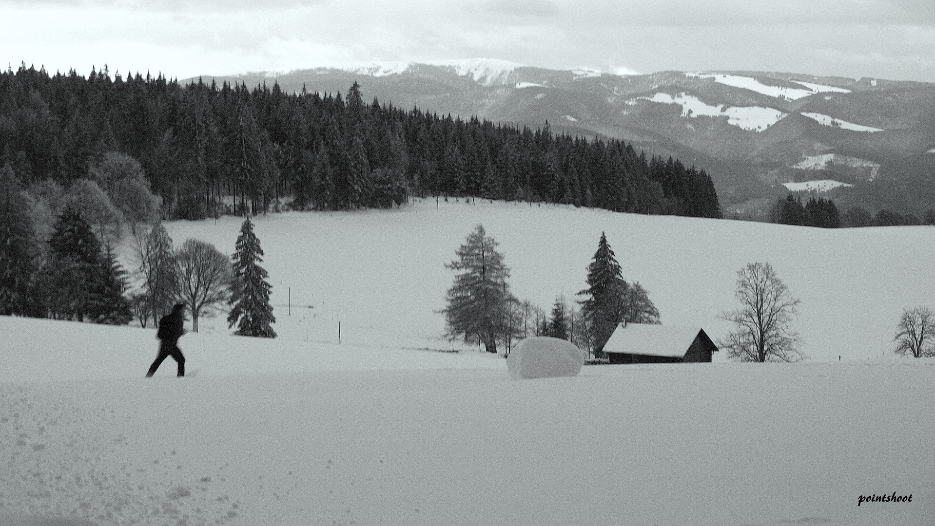 Winter im Schwarzwald