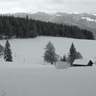 Winter im Schwarzwald