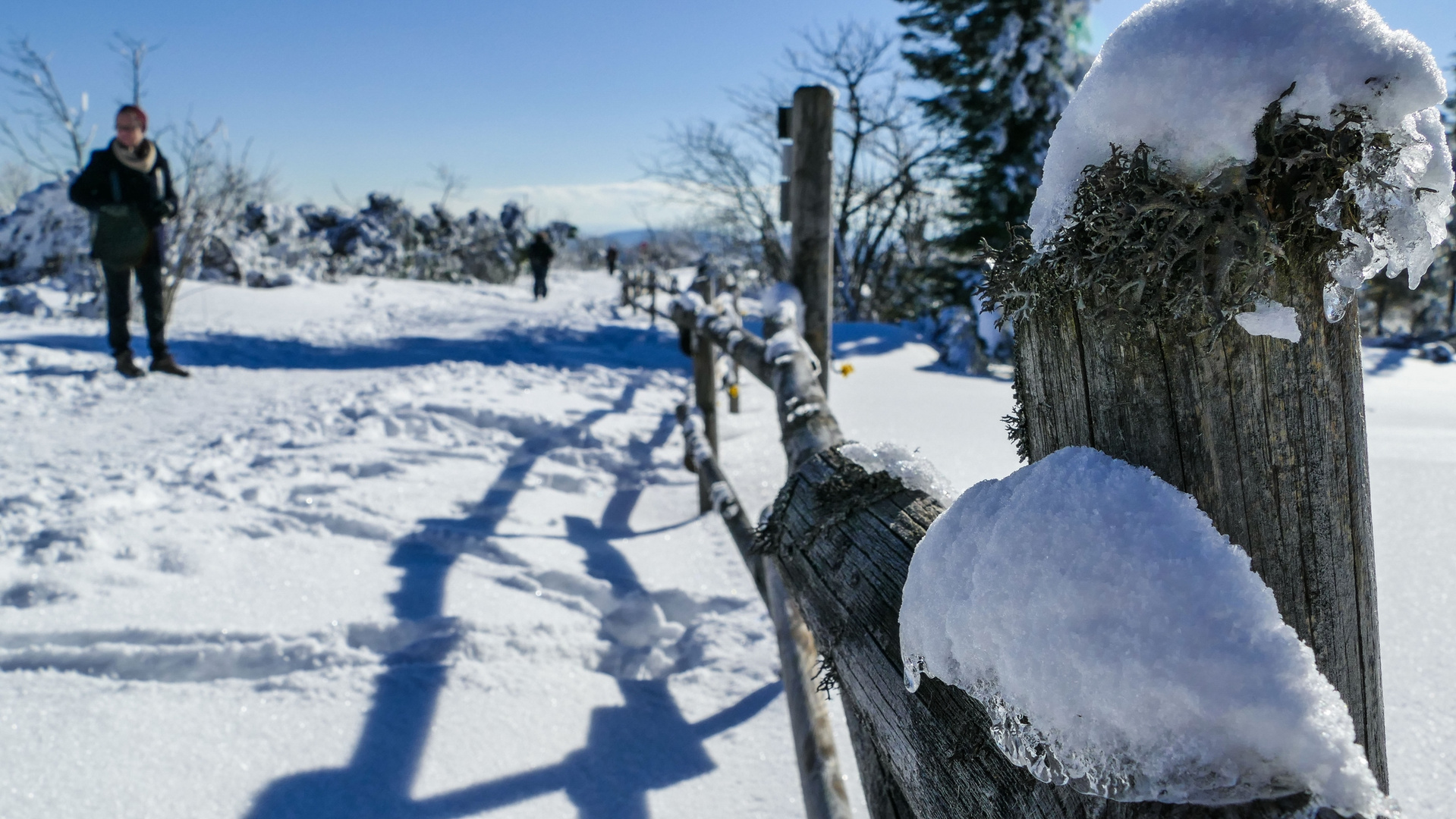 Winter im Schwarzwald