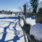 Winter im Schwarzwald